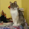 Отзыв от Майя Антипова